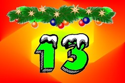13
